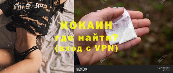 стафф Богданович